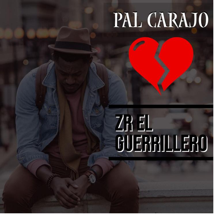 Zr El Guerrillero's avatar image