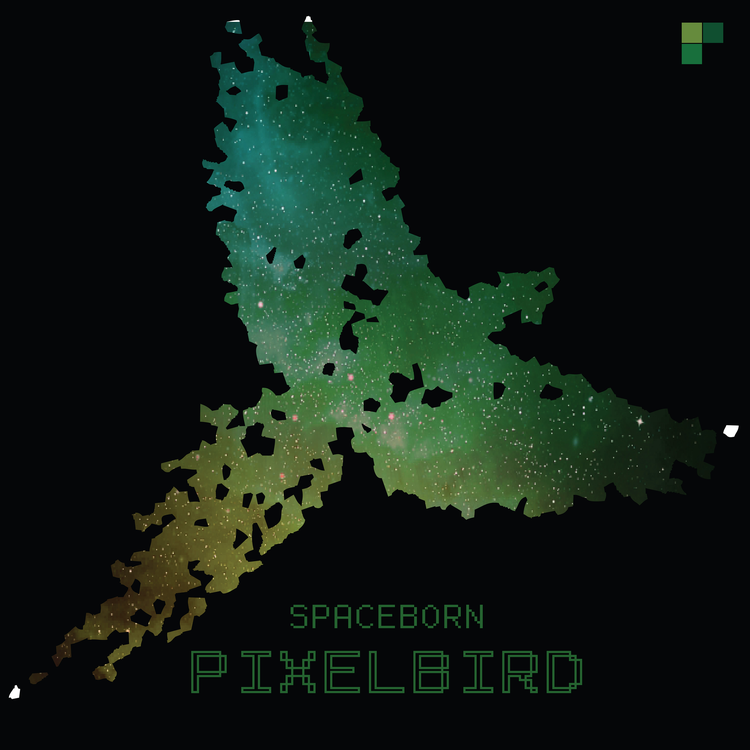 Pixelbird's avatar image