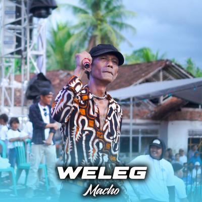 Weleg's cover