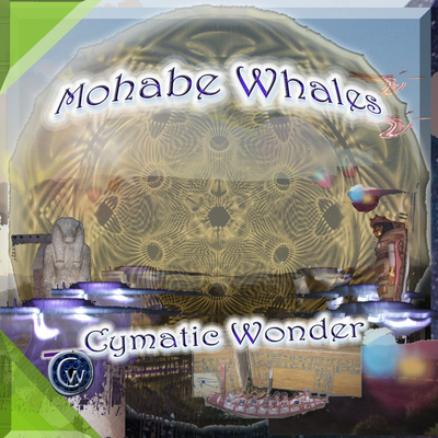 Mohabe Whales's cover