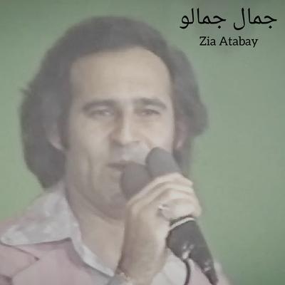 Zia Atabay's cover