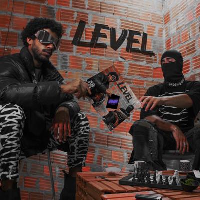 Level's cover