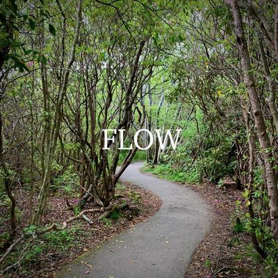 Flow's cover