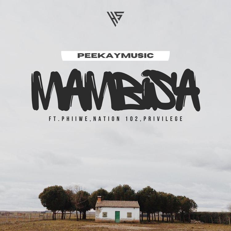 Peekaymusic's avatar image