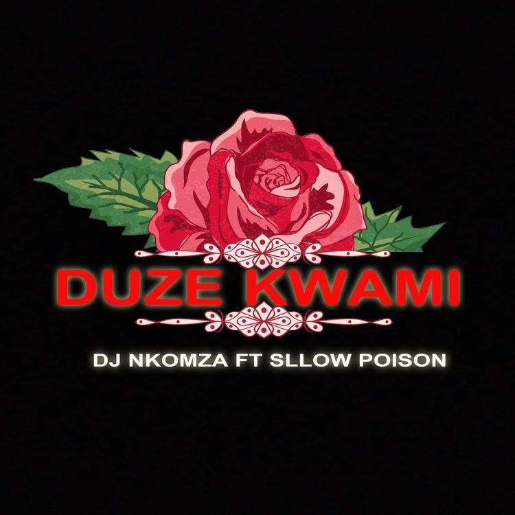 Dj Nkomza's avatar image