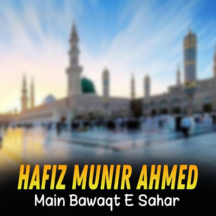 Hafiz Munir Ahmed's avatar image