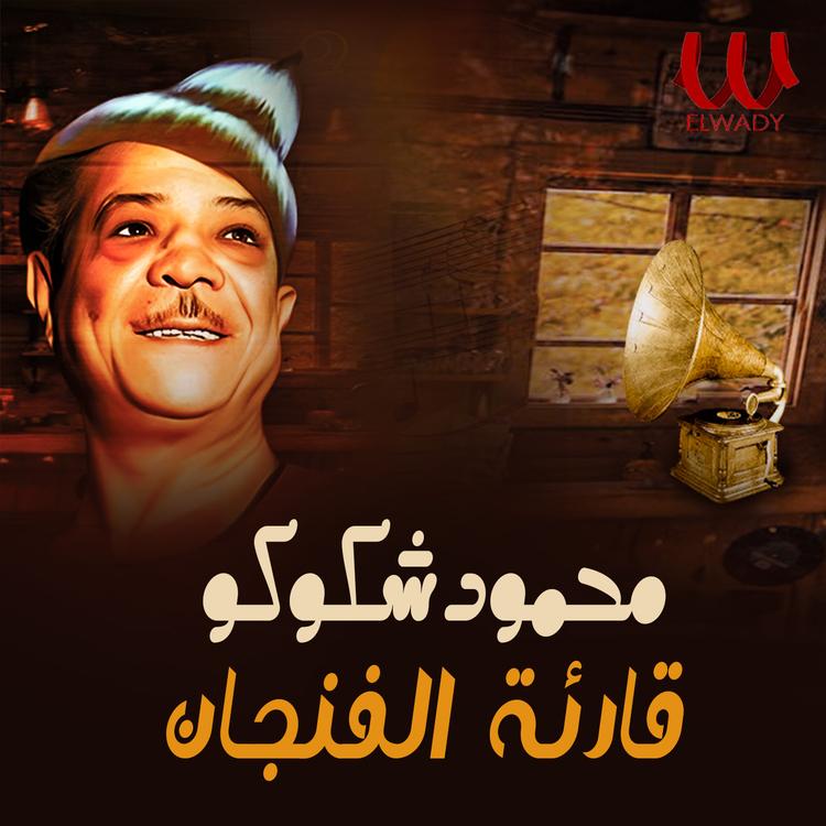 Mahmoud Shokoko's avatar image