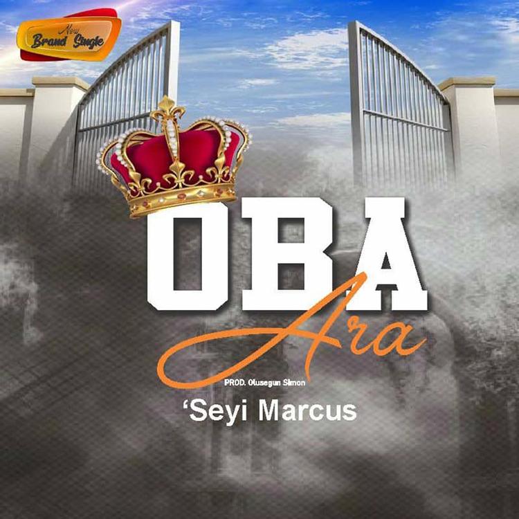 Seyi Marcus's avatar image