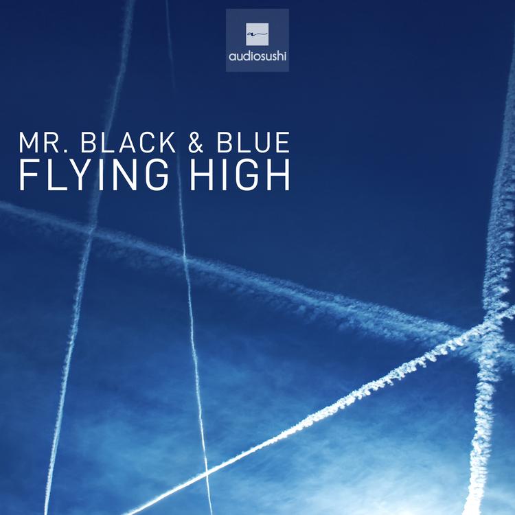 Mr Black & Blue's avatar image