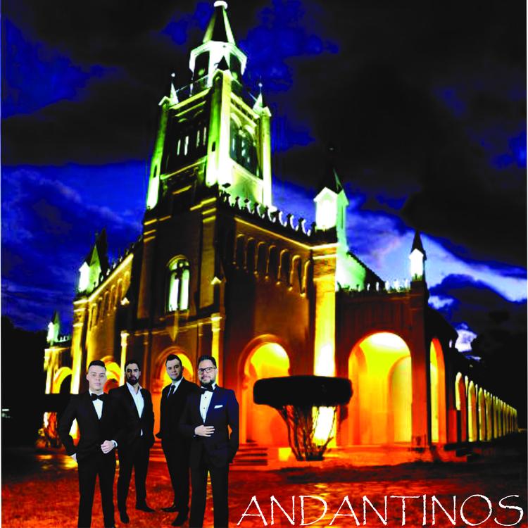 Andantinos's avatar image