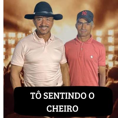 Tô Sentindo o Cheiro's cover