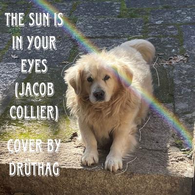 The Sun is in Your Eyes (Cover) By Drüthag's cover