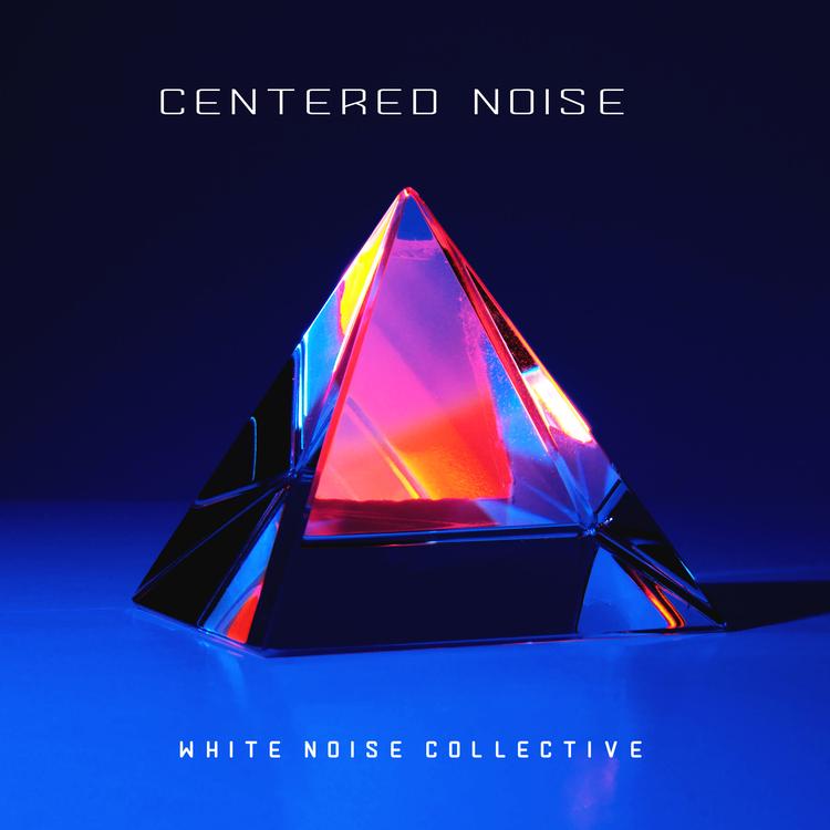 White Noise Collective's avatar image