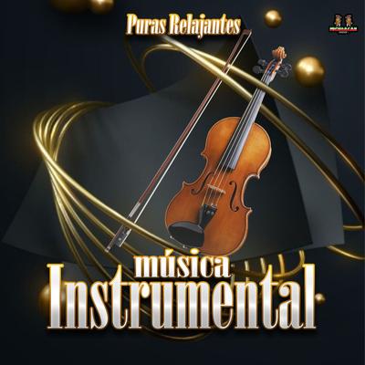 No Me Vuelvo A Enamorar By Lo Mejor De La Musica Instrumental, Musica Instrumental's cover