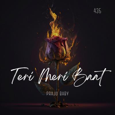 Teri Meri Baat's cover