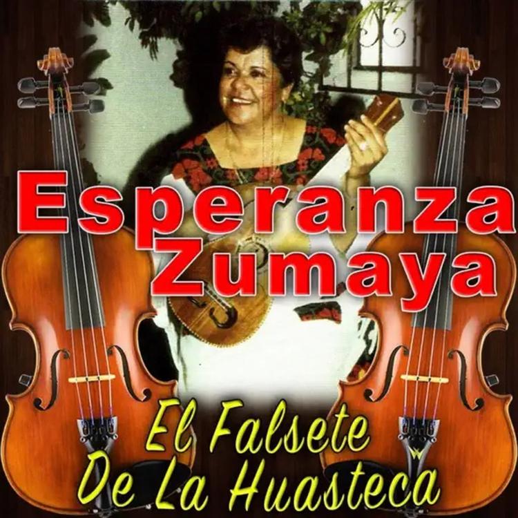 Esperanza Zumaya's avatar image