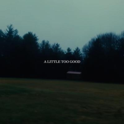 A Little Too Good's cover