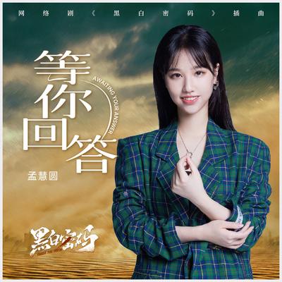 Huiyuan Meng's cover