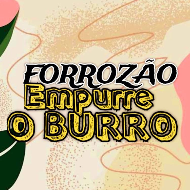 Forrozão Empurre o Burro's avatar image
