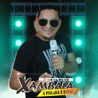 XAMBALA's avatar cover