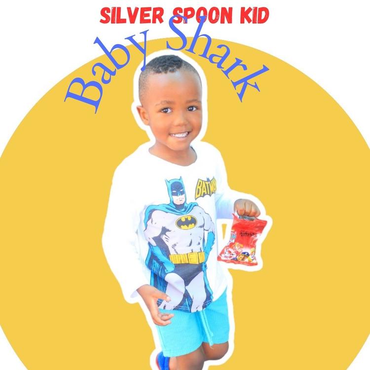 Silver Spoon Kid's avatar image