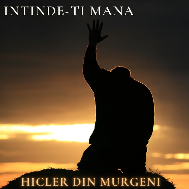 Hicler Din Murgeni's avatar image