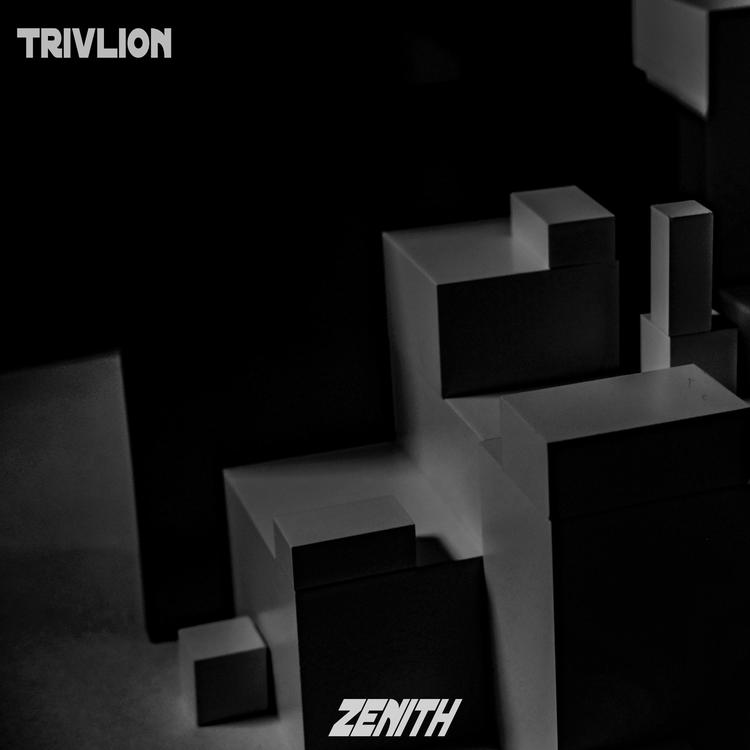 Trivlion's avatar image