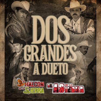 Dos Grandes A Dueto's cover