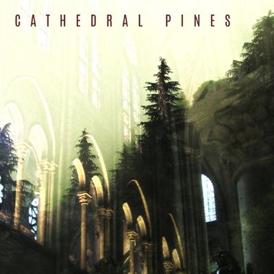 Cathedral Pines By Sean Waters & the Sunrise Genius's cover