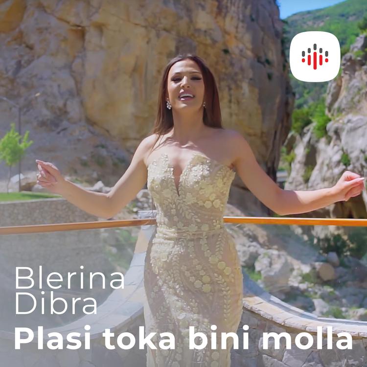 Blerina Dibra's avatar image