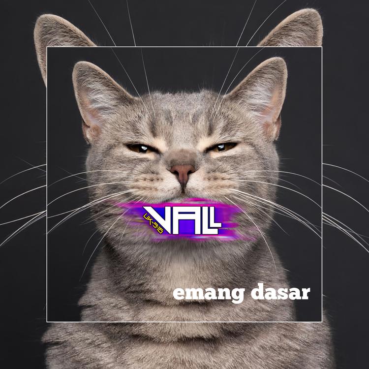 Vall Music's avatar image