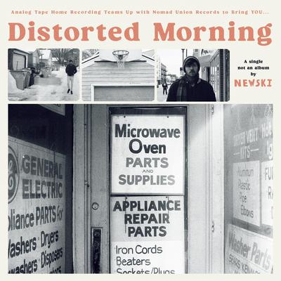 Distorted Morning By Newski, Brett Newski, VANITY METRICS's cover