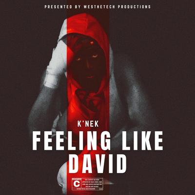 Feeling Like David By K'nek's cover