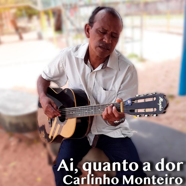 Carlinho Monteiro's avatar image