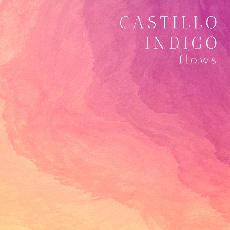 Castillo Indigo's avatar image