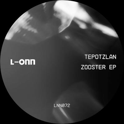 Tepotzlan's cover