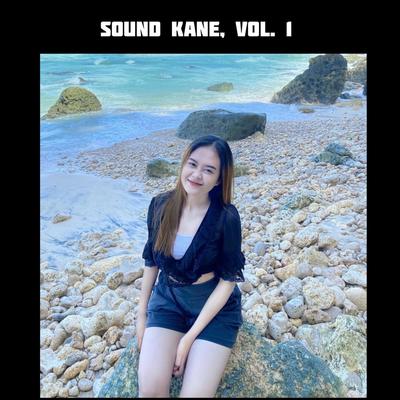 Sound Kane, Vol. 1's poster image