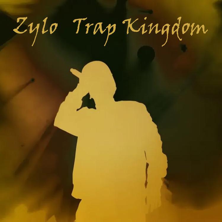 Zylo's avatar image