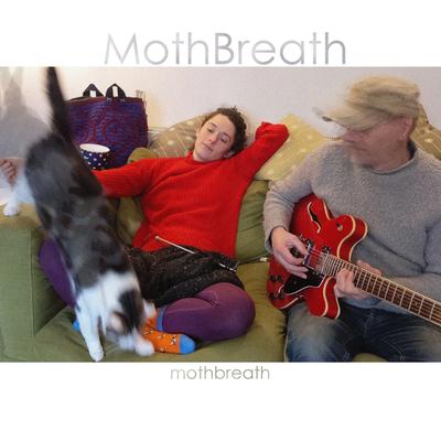Wildfire Haze By MothBreath's cover