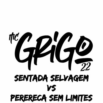 Sentada Selvagem Vs Perereca Sem Limites By Mc Grigo 22's cover