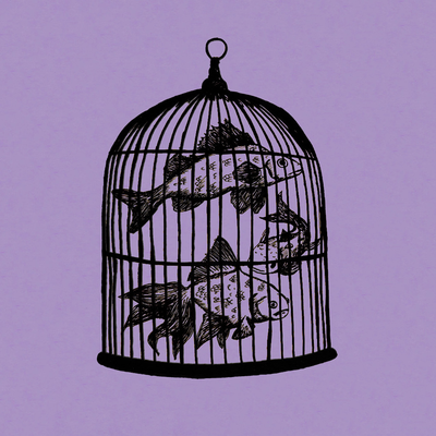 Rule #21 - Momento Mori By Fish in a Birdcage's cover