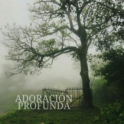 Adoración Profunda's cover