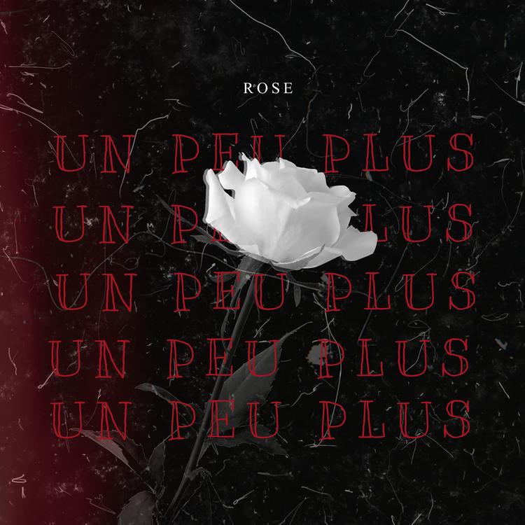 Rose's avatar image