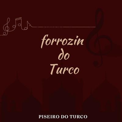 Forrozin do Turco's cover