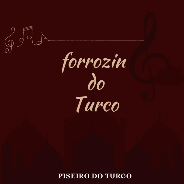 Piseiro Turco's avatar image