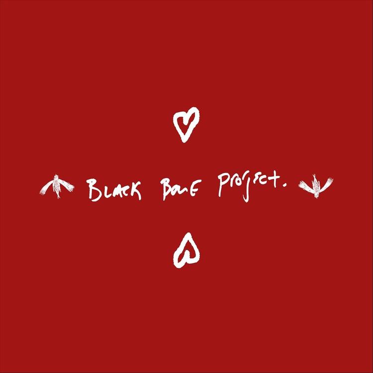 Black Bone Project's avatar image