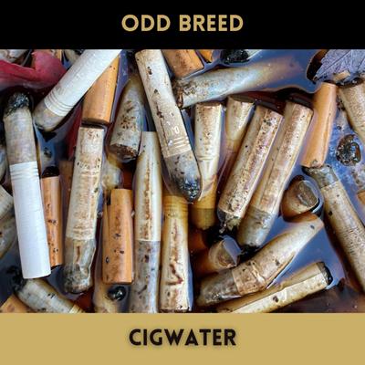 Cigwater's cover
