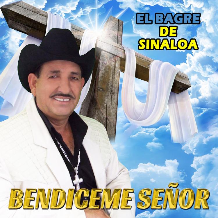 El Bagre de Sinaloa's avatar image