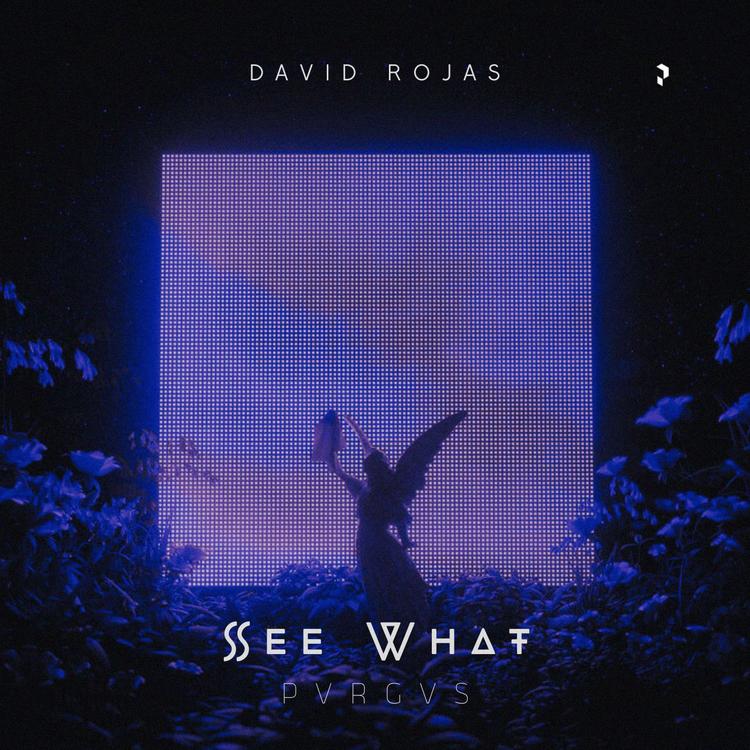 David Rojas's avatar image