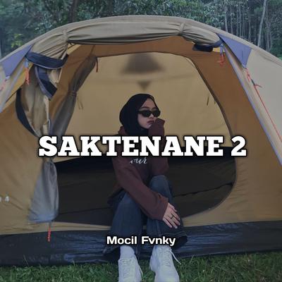 SAKTENANE 2's cover